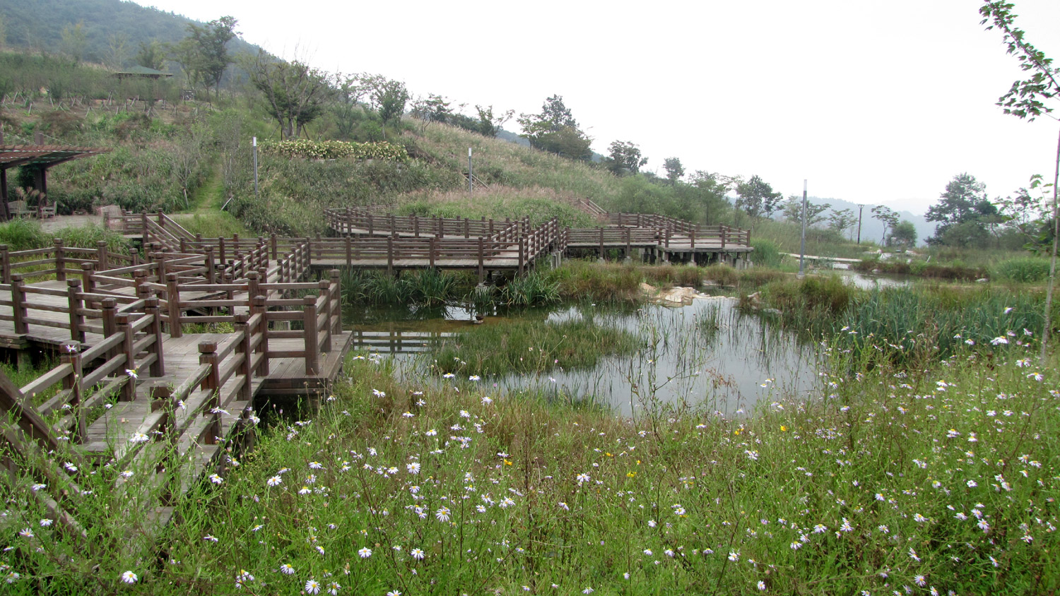 영인산수목원 습지학습지구 생태연못